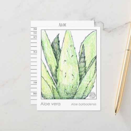 Aloe Vera Materia Medica Cards Herbal Study Plants
