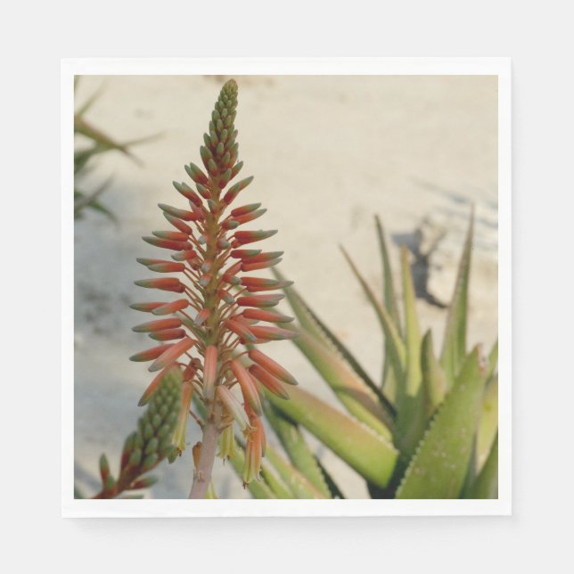 Aloe Vera Photo Luncheon Napkin (Front)