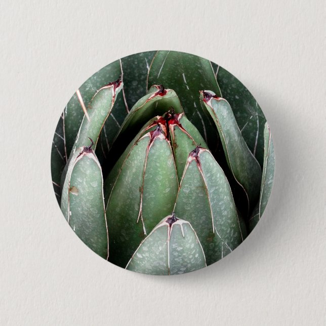 Aloe Vera Photo Plant Lover Round Badge Button (Front)