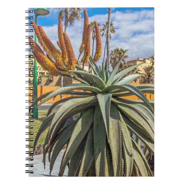 Aloe Vera plant and flowers notebook (Front)