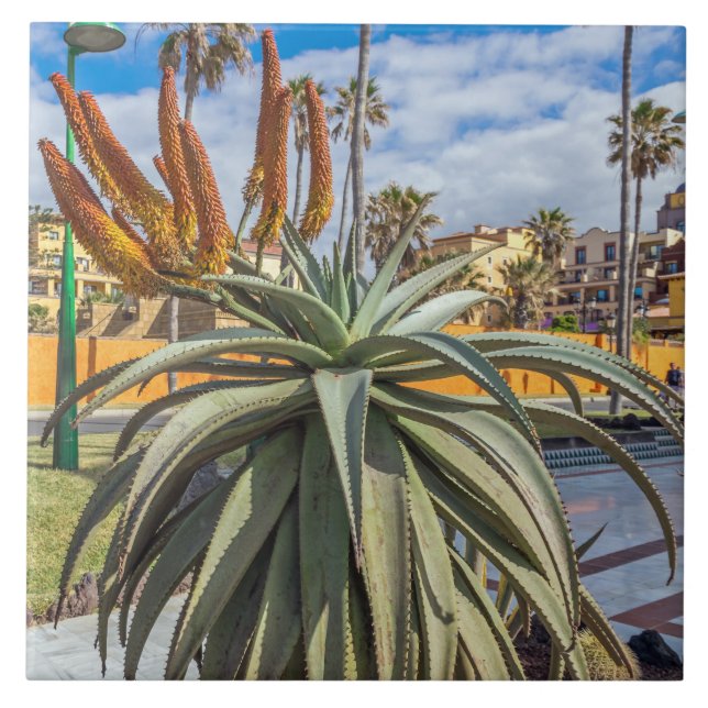 Aloe Vera plant ceramic tile (Front)