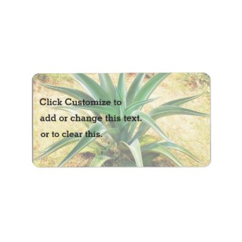 Aloe Vera Plant Label by LifeCollection at Zazzle