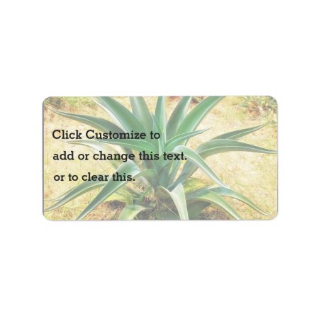 Aloe Vera Plant Label