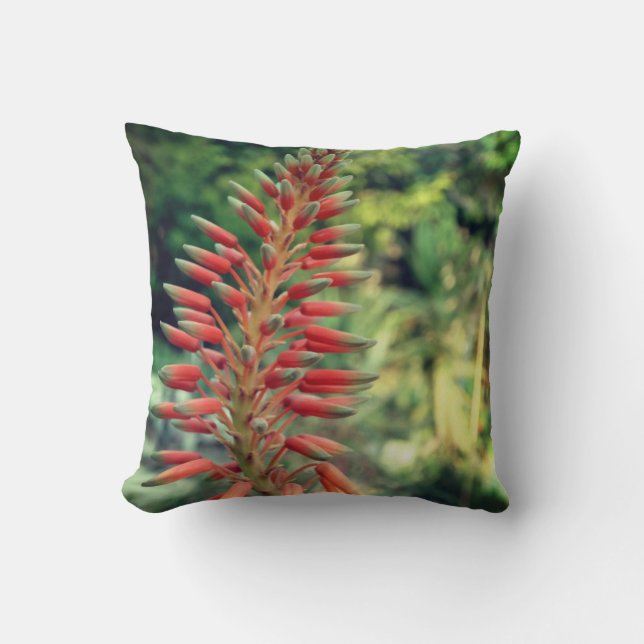 Aloe Vera Plant Photo Throw Cushion, Aloe Cushion (Front)