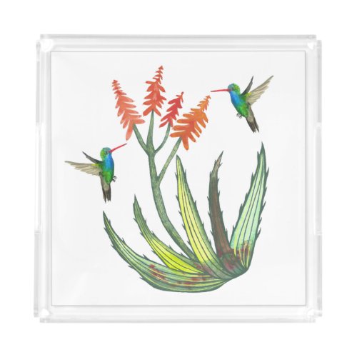 Aloe Vera Succulent Flower Hummingbirds Watercolor Acrylic Tray