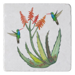 Aloe Vera Succulent Flower Hummingbirds Watercolor Trivet