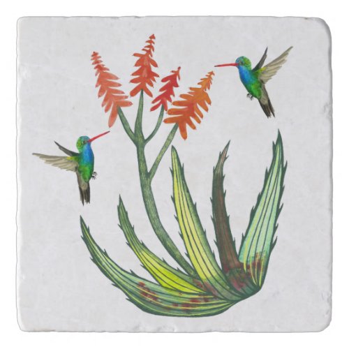 Aloe Vera Succulent Flower Hummingbirds Watercolor Trivet