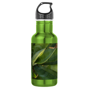 Aloe Vera Water Bottle