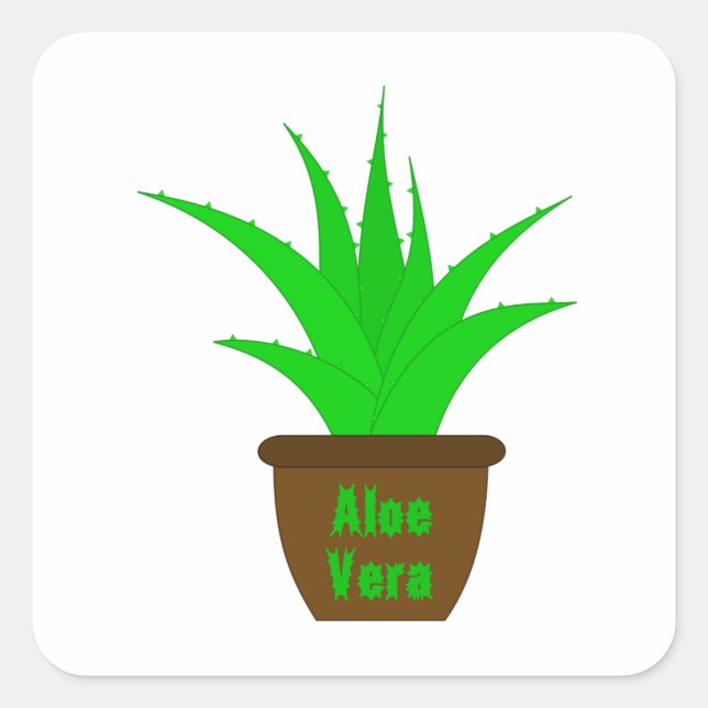 Aloe Vera with a Label (Front)