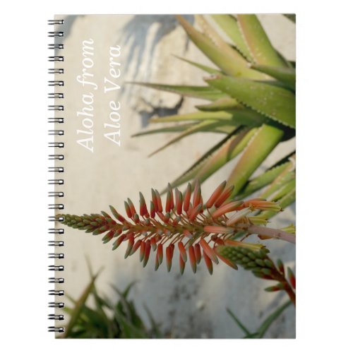 Aloha Aloe Vera Plant Photo Notebook