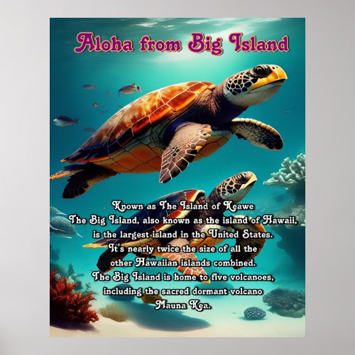 Aloha Big Island Hawaii Poster