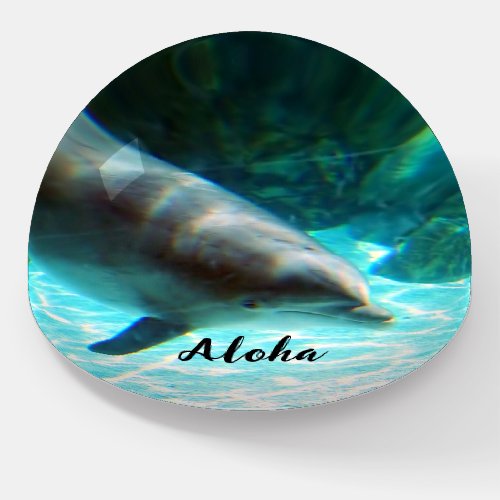 Aloha Dolphin Paperweight