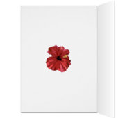 Aloha! from Hawaii Cards (Inside (Left))