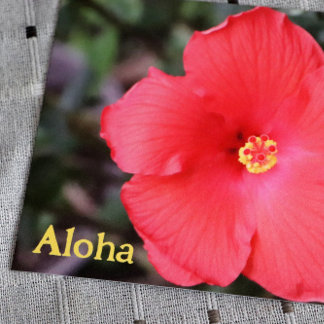 Aloha From Hawaii Hawaiian Vacation                Postcard