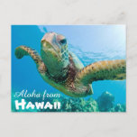 Aloha From Hawaii Honu Green Sea Turtle Postcard at Zazzle