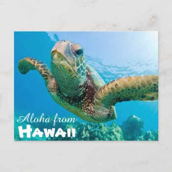 Aloha From Hawaii Honu Green Sea Turtle Postcard by MauiWowi at Zazzle