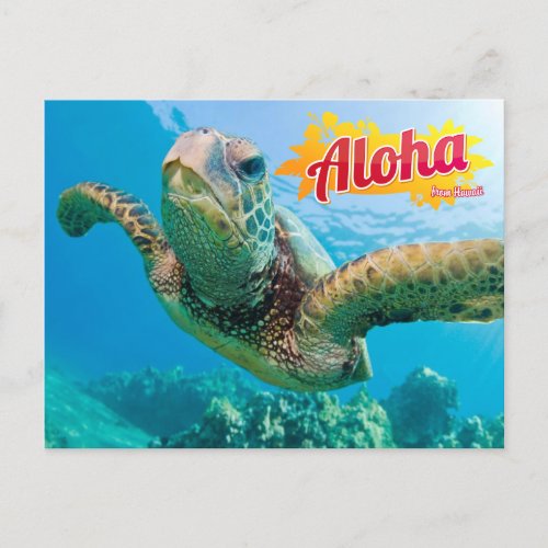 Aloha from Hawaii Honu Green Sea Turtle Postcard