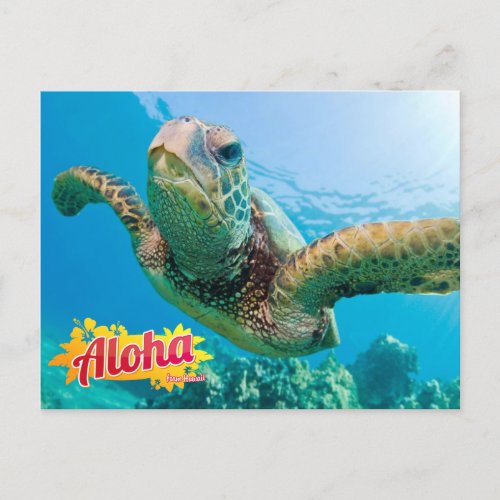 Aloha from Hawaii Honu Green Sea Turtle Postcard