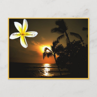 Aloha from Hawaii Plumeria Sunset Postcard