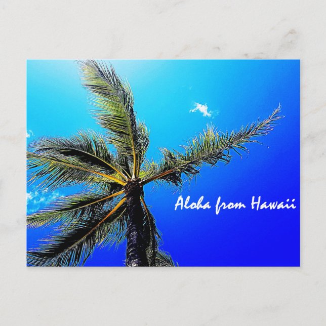 Aloha from Hawaii Postcard (Front)