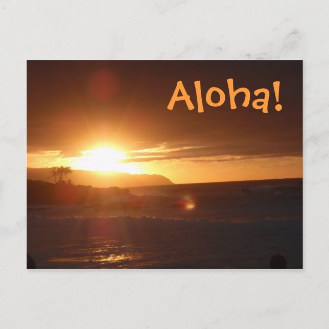 Aloha from Hawaii Postcard (Front)