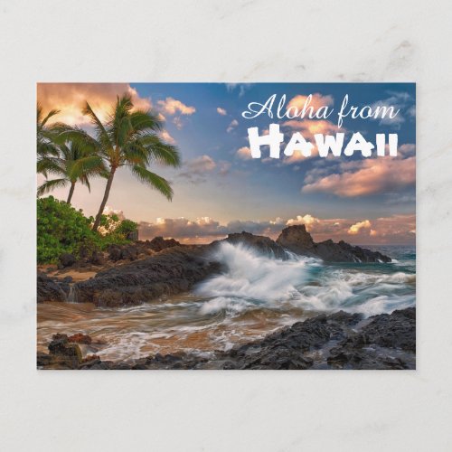 Aloha from Hawaii Postcard