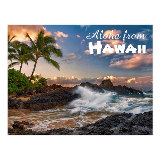 Aloha from Hawaii Postcard | Zazzle.com