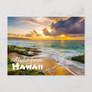 Aloha from Hawaii Postcard