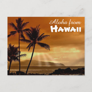 Aloha from Hawaii Postcard