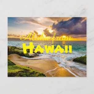Aloha from Hawaii Postcard