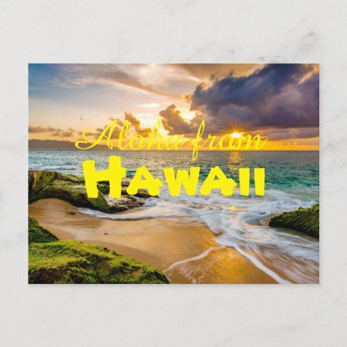 Aloha from Hawaii Postcard