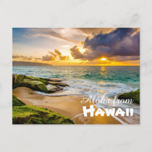 Aloha from Hawaii Postcard