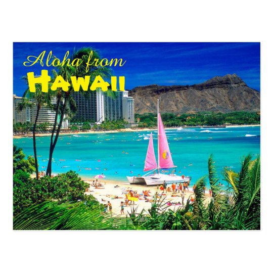 Aloha From Hawaii Postcard