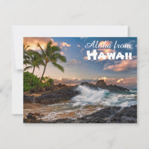 Aloha from Hawaii Postcard