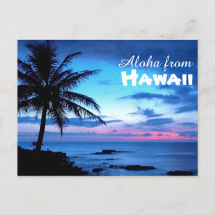 Aloha from Hawaii Postcard