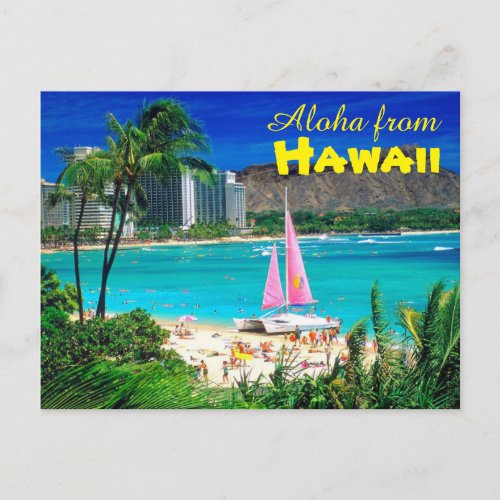 Aloha from Hawaii Postcard