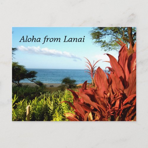Aloha from Lanai Hawaii Postcard