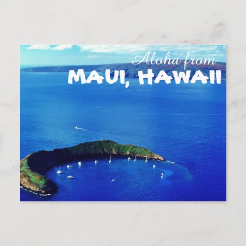 Aloha from Maui Hawaii Postcard
