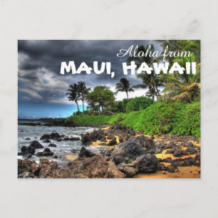 Aloha from Maui Hawaii Postcard