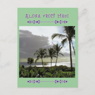 "ALOHA FROM MAUI" Palm Trees POST CARD