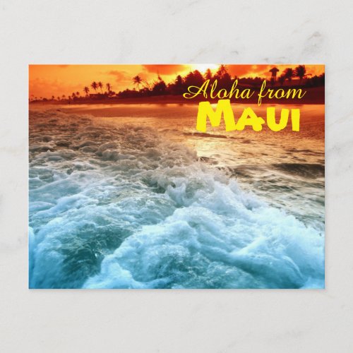 Aloha from Maui Postcard