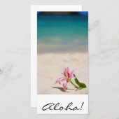 Aloha! Hawaii (Front/Back)