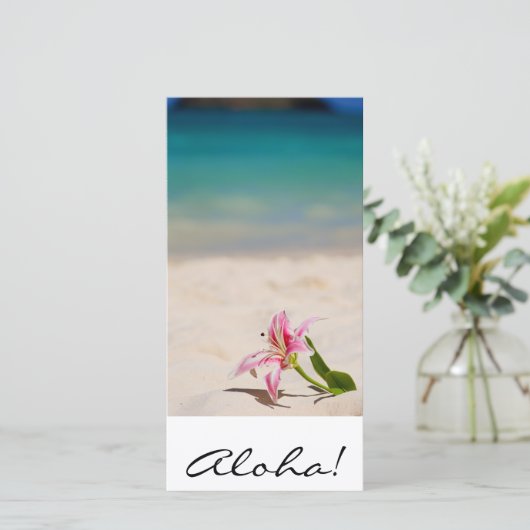 Aloha! Hawaii (Standing Front)