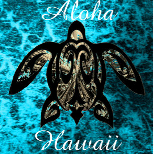Aloha Hawaii Adult Apron
