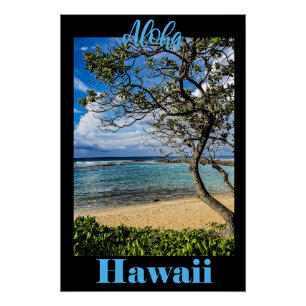 Aloha Hawaii travel poster