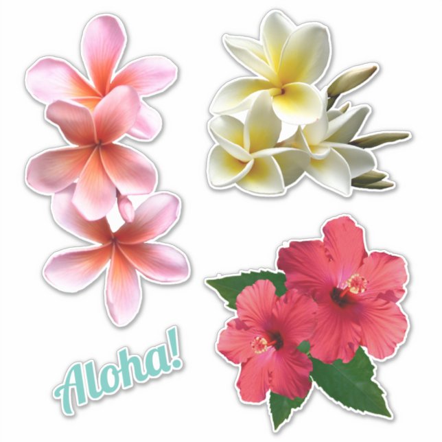 Aloha Hawaiian Flowers Plumeria Hibiscus  Sticker (Front)