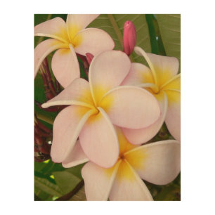 Aloha Hawaiian Frangipani Blossoms Bridal Luau Wood Wall Decor
