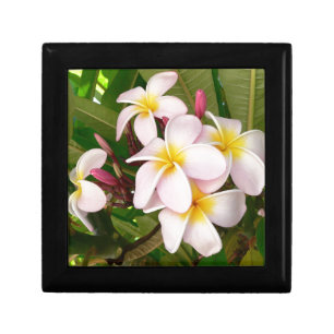 Aloha Hawaiian Frangipani Blossoms Bridal Shower Gift Box