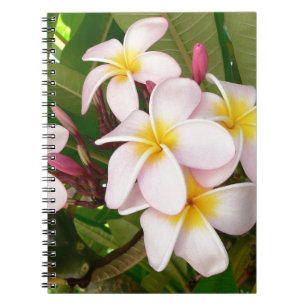 Aloha Hawaiian Frangipani Blossoms Bridal Shower Notebook
