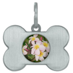 Aloha Hawaiian Frangipani Blossoms Bridal Shower Pet Name Tag